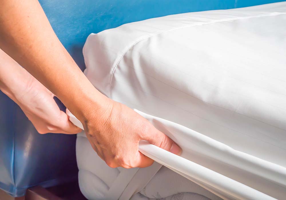 prevent bed bugs mattress